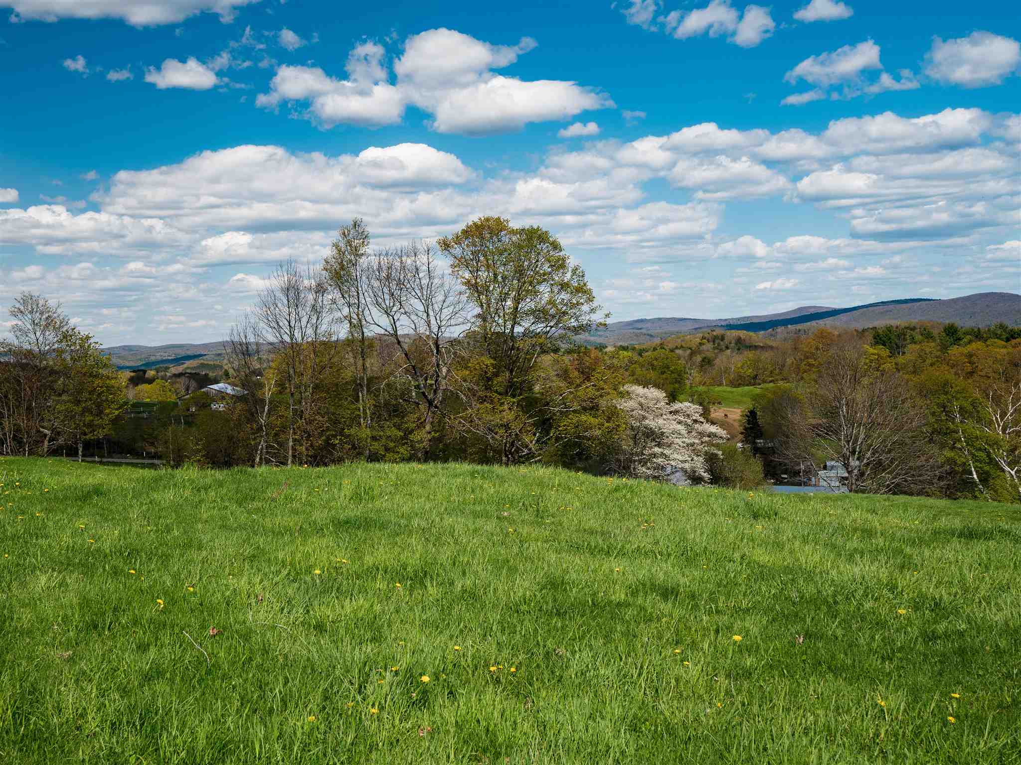 191 Monarch Hill Road Tunbridge, VT 05077 - Photo 5 of 25