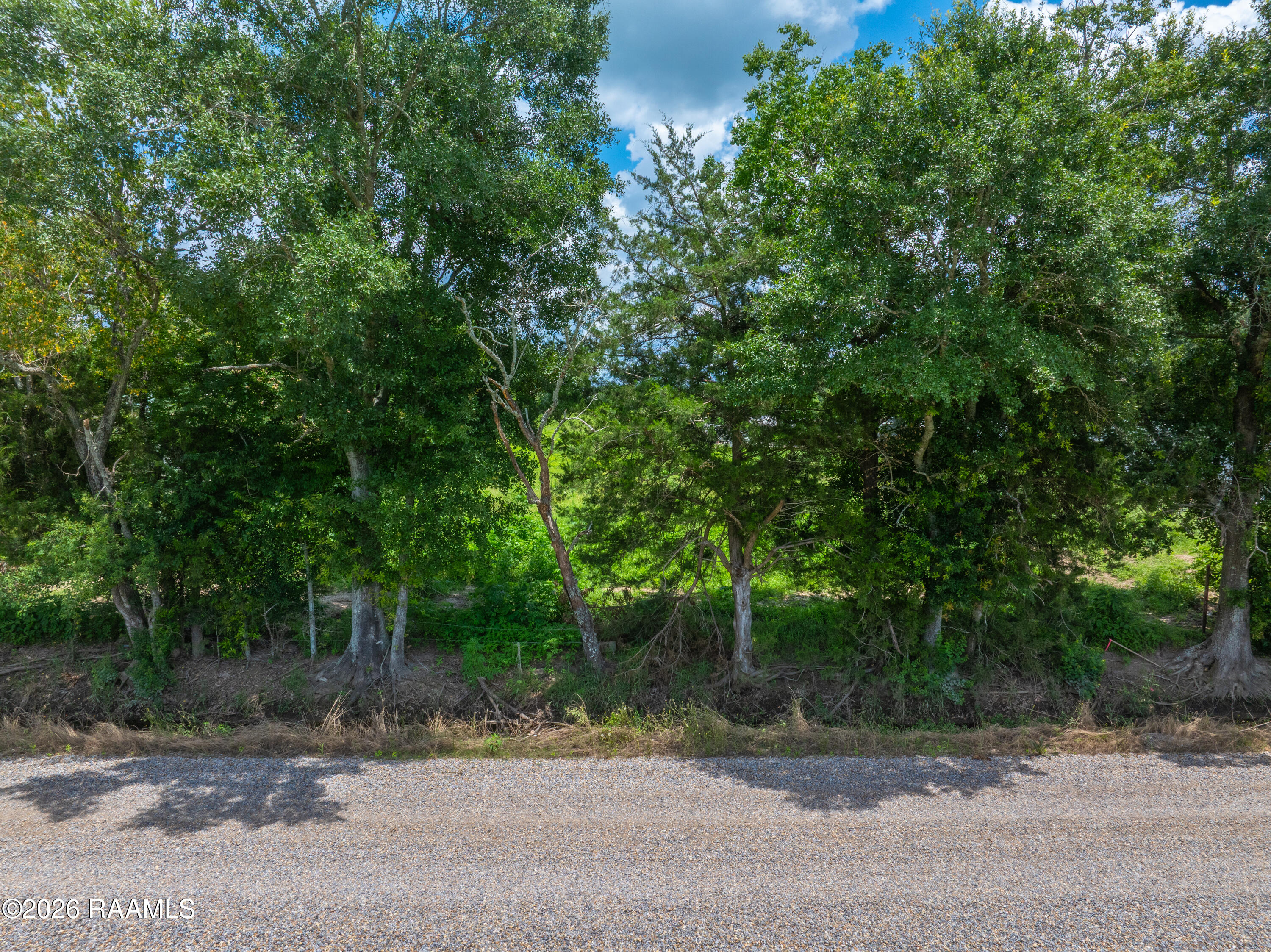 0 Iseringhausen Road Church Point, LA 70525 - Photo 14 of 14 TBDIserinhausen-10