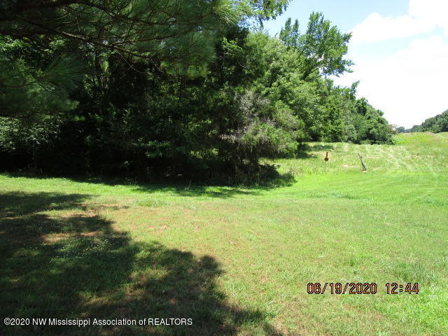 7206 Peyton Road Coldwater, MS 38618 - Photo 18 of 20 IMG_1041