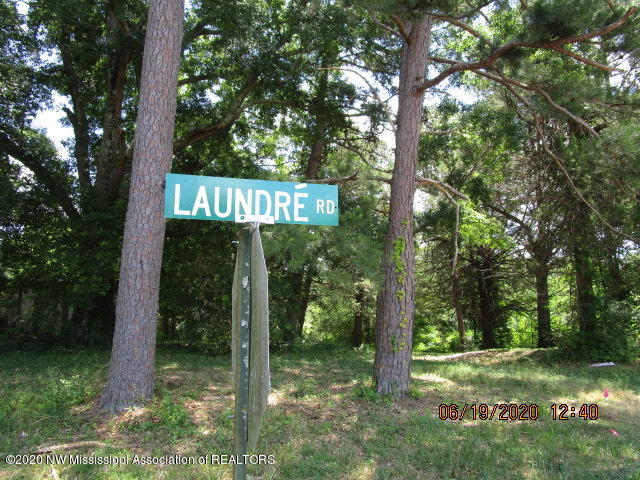 7206 Peyton Road Coldwater, MS 38618 - Photo 8 of 20 IMG_1027