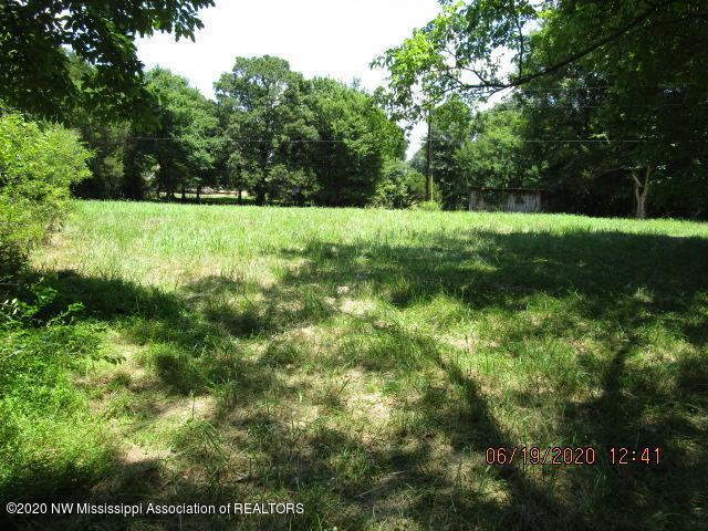 7206 Peyton Road Coldwater, MS 38618 - Photo 9 of 20 IMG_1031