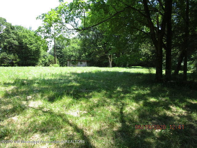 7206 Peyton Road Coldwater, MS 38618 - Photo 10 of 20 IMG_1032