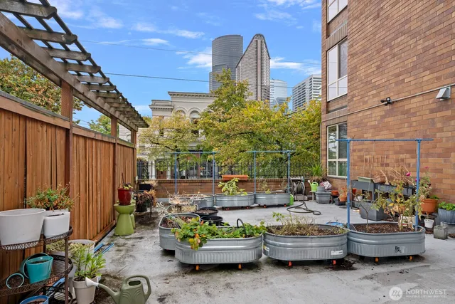 a view of a patio with couches and potted plants