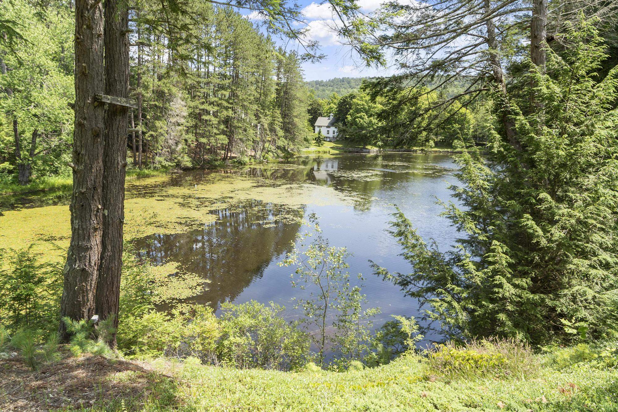 83 Highway 12A Surry, NH 03431 - Photo 55 of 59