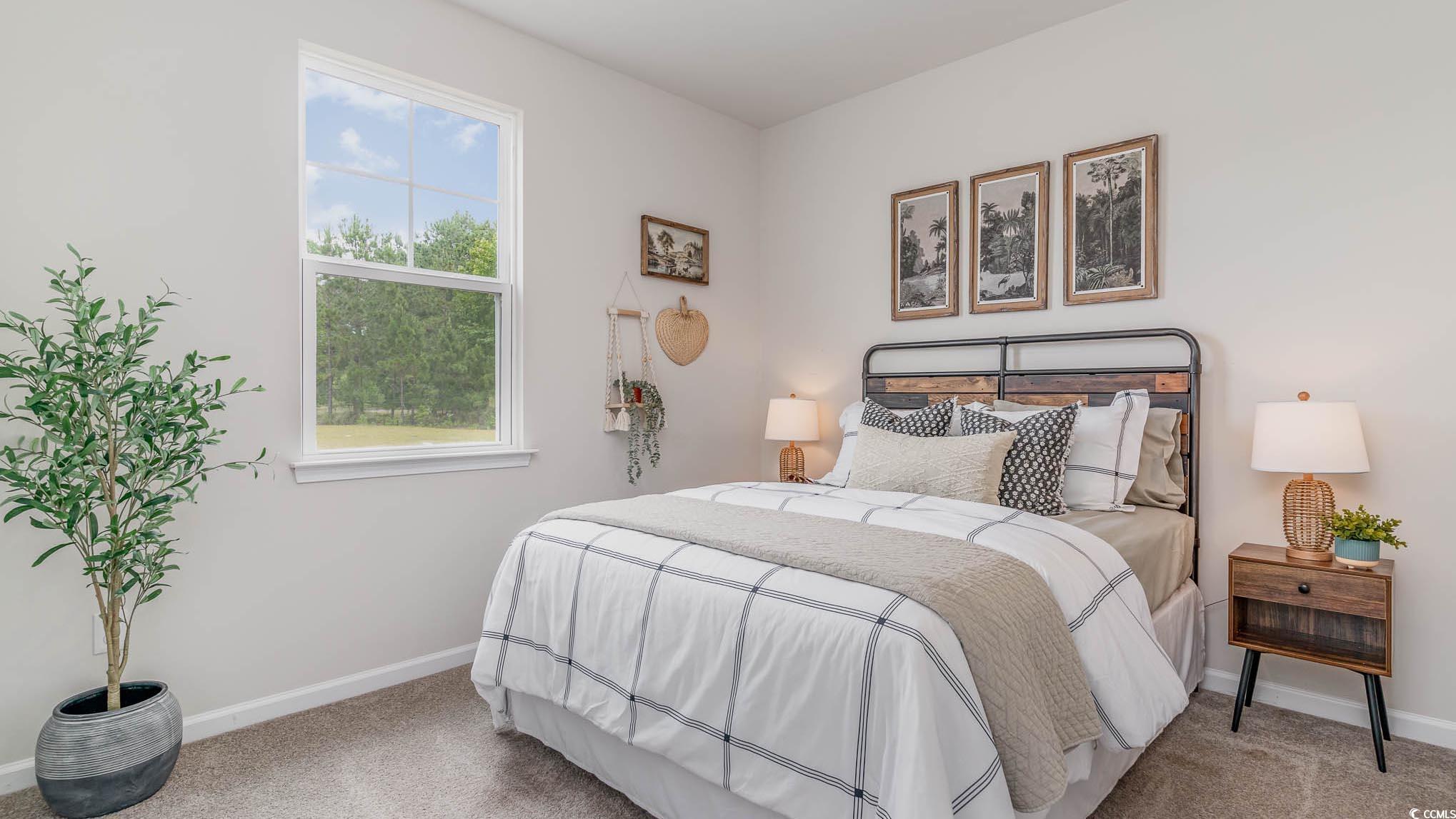 113 Homestead Way Myrtle Beach, SC 29588 - Photo 16 of 20 Carpeted bedroom with baseboards