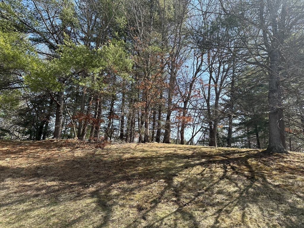 8 Bellingham Court, Unit 92 Middleton, MA 01949 - Photo 11 of 35 a view of road with trees