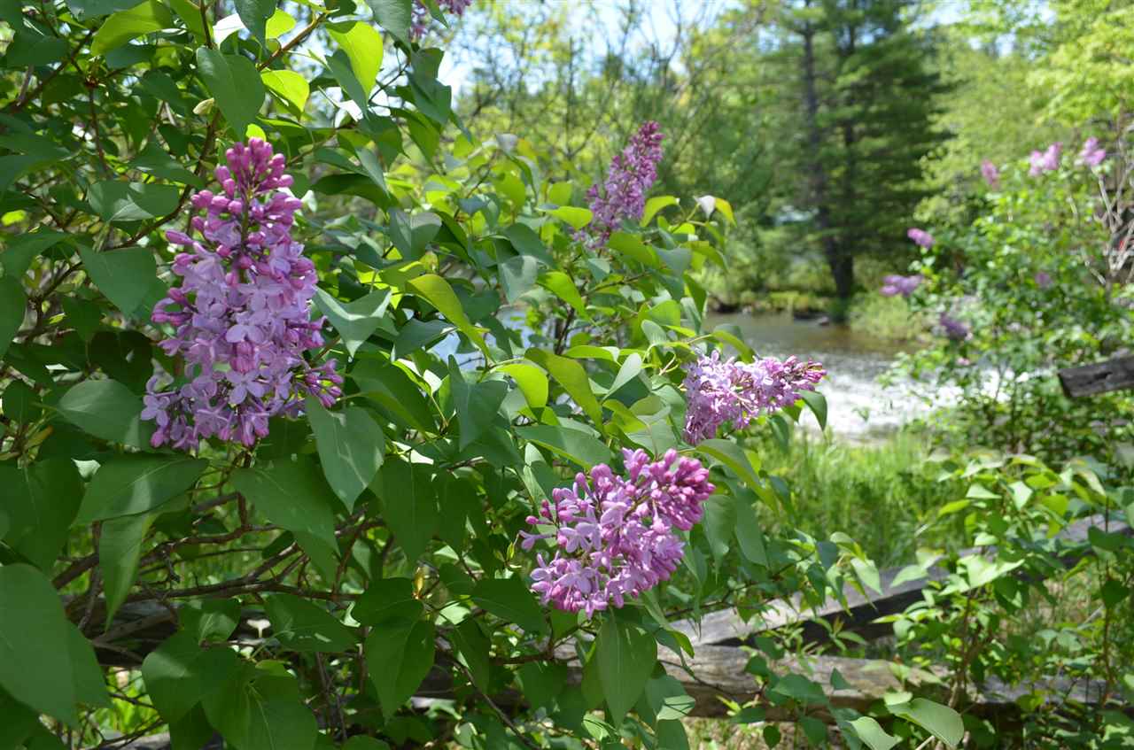 92 Pratt Hill Road Cavendish, VT 05153 - Photo 32 of 36