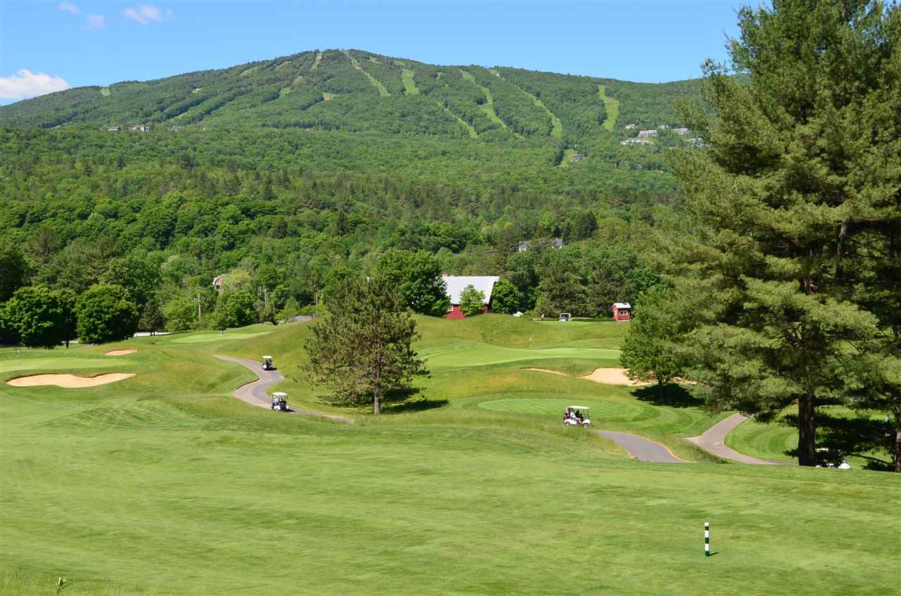 92 Pratt Hill Road Cavendish, VT 05153 - Photo 34 of 36