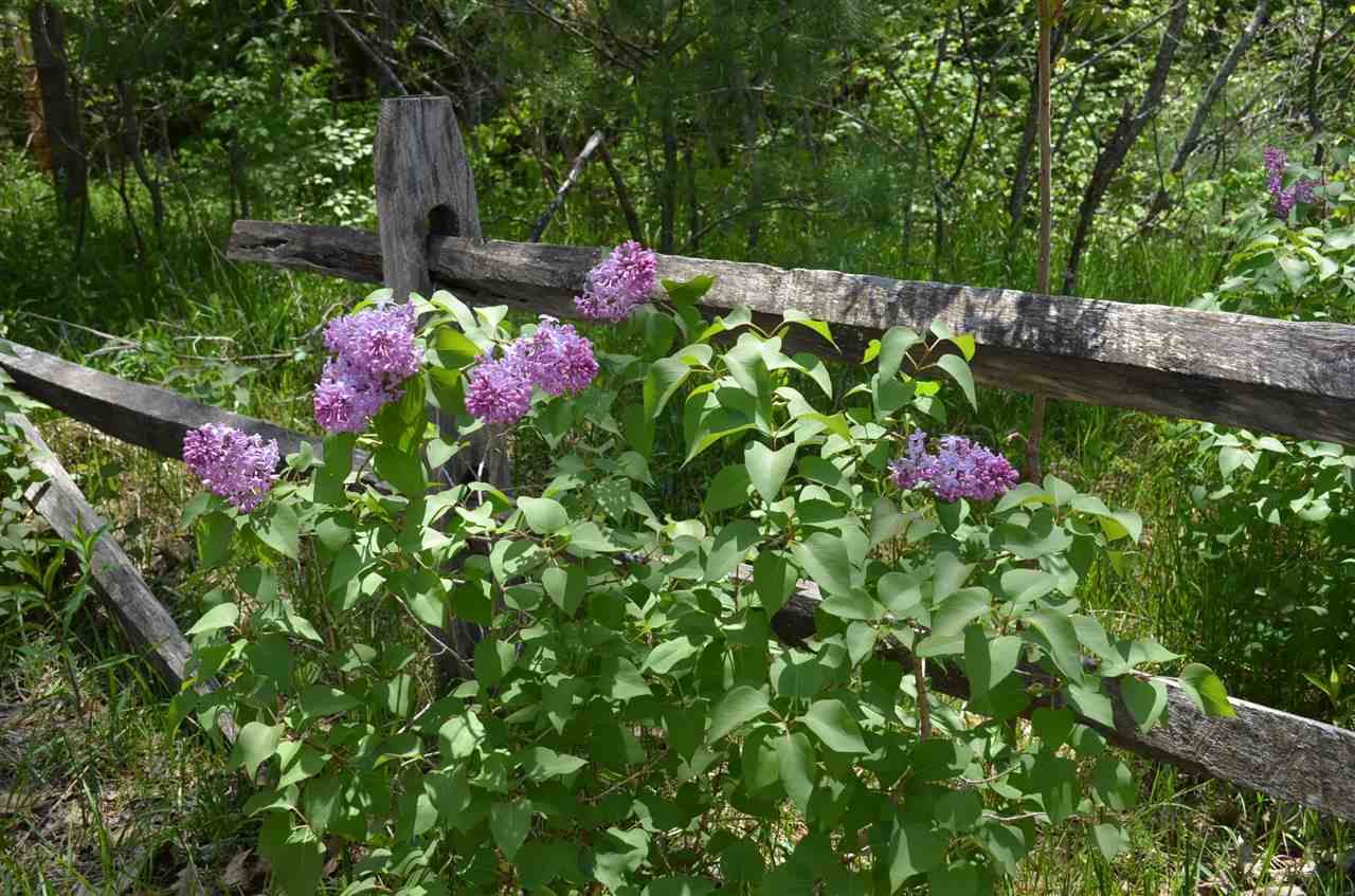 92 Pratt Hill Road Cavendish, VT 05153 - Photo 36 of 36