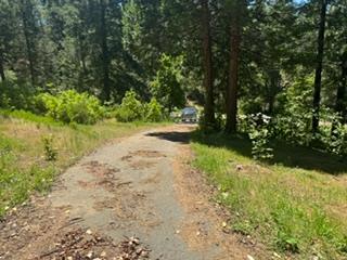 6433 Peg Leg Mine Road Georgetown, CA 95634 - Photo 7 of 9 a view of a yard with plants and large trees