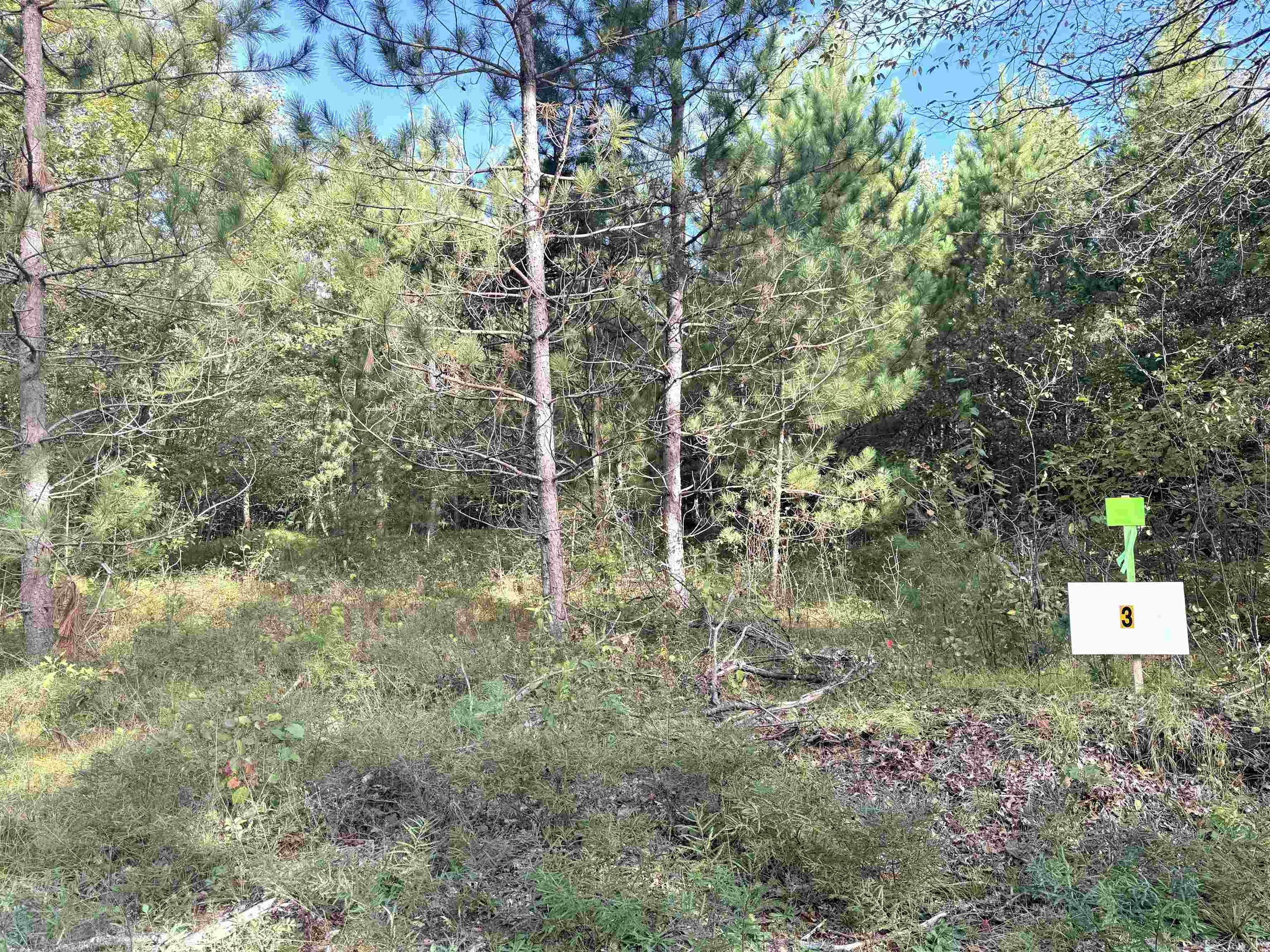 Lot 3 Scout Road Mosinee, WI 54455 - Photo 3 of 8 Gallery Image 3