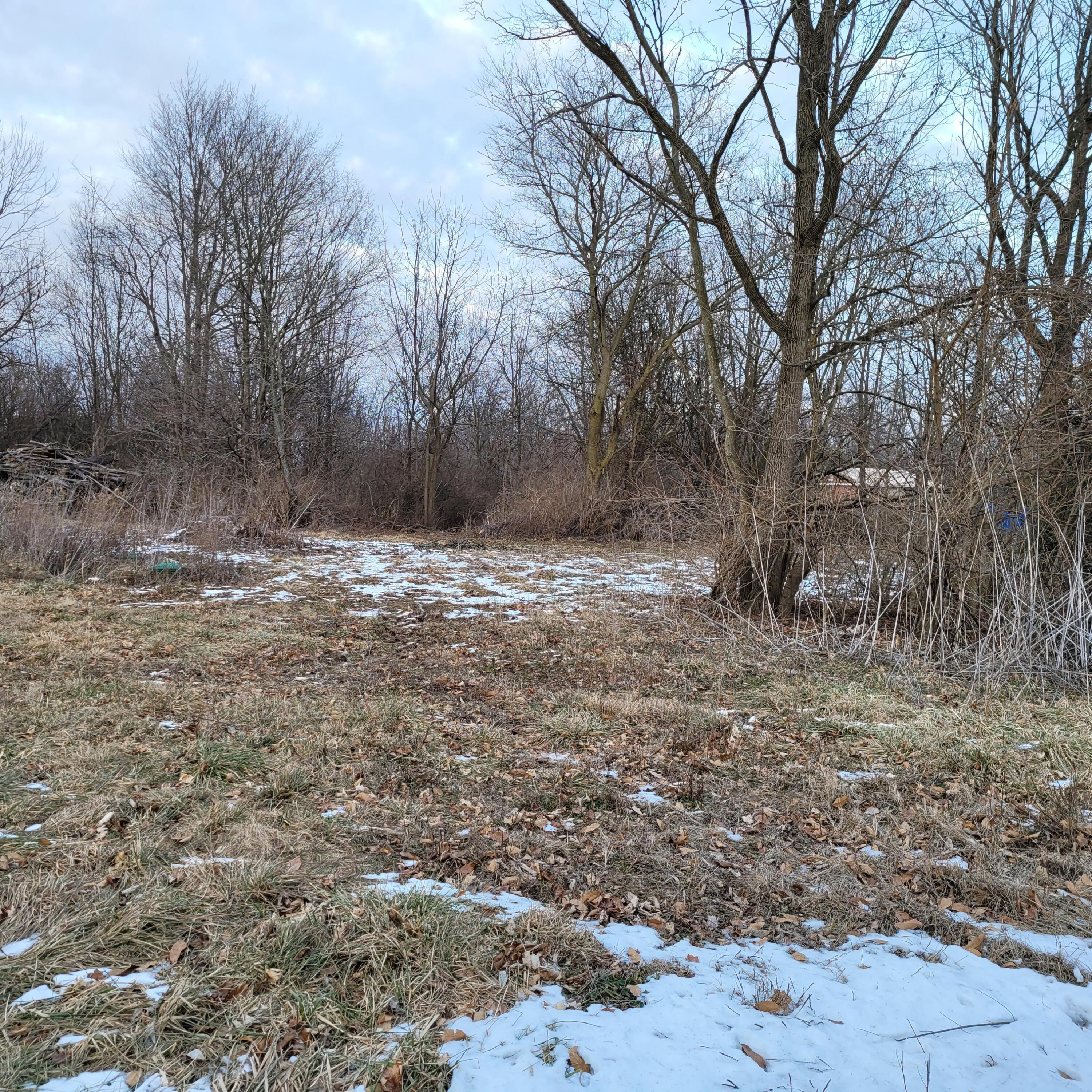 244 Zimmerman Road Leesburg, OH 45135 - Photo 6 of 13 lot 1
