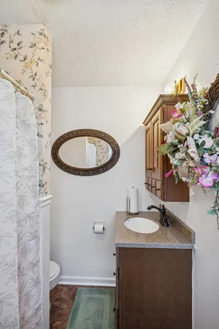 a bathroom with a sink a toilet and a mirror