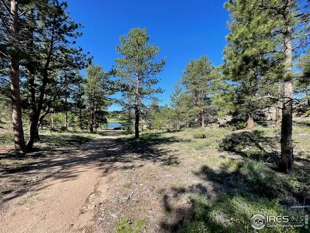 a view of a yard with plants and trees