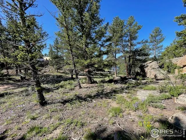 a view of a yard with a tree