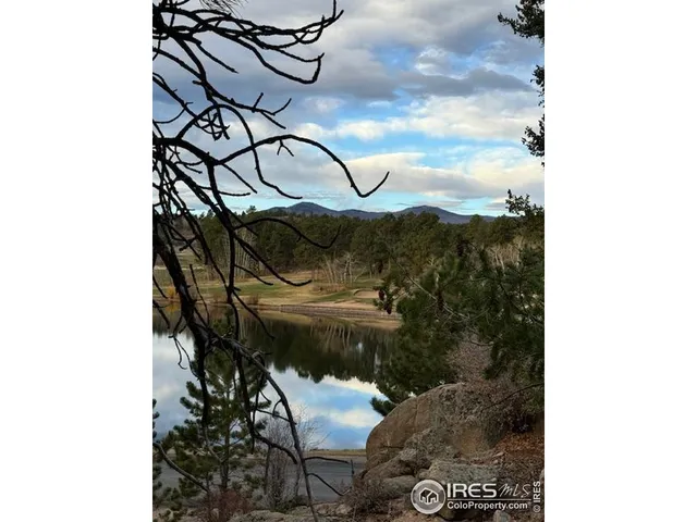 a view of a yard in front of house