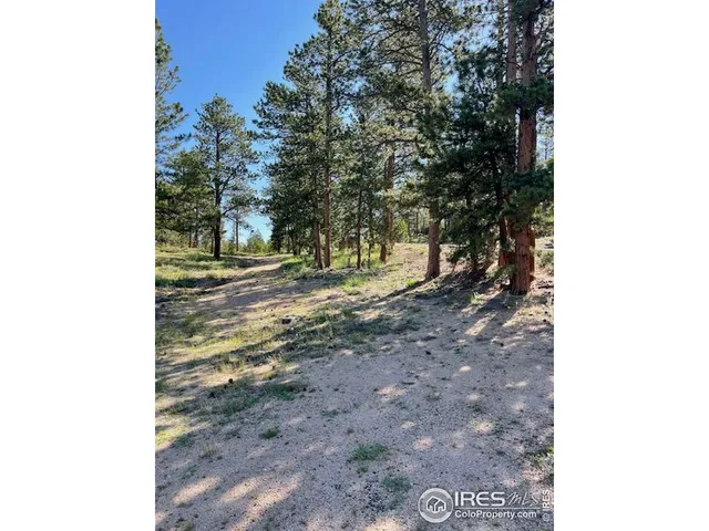 a view of a yard with trees
