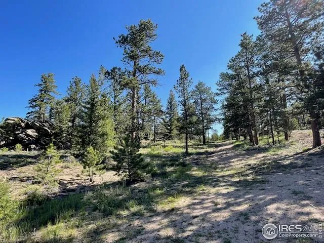 a view of a yard with a tree