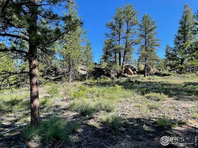 a view of a yard with plants and trees