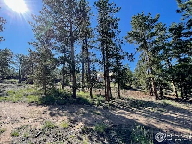 a view of a tree in the middle of a yard