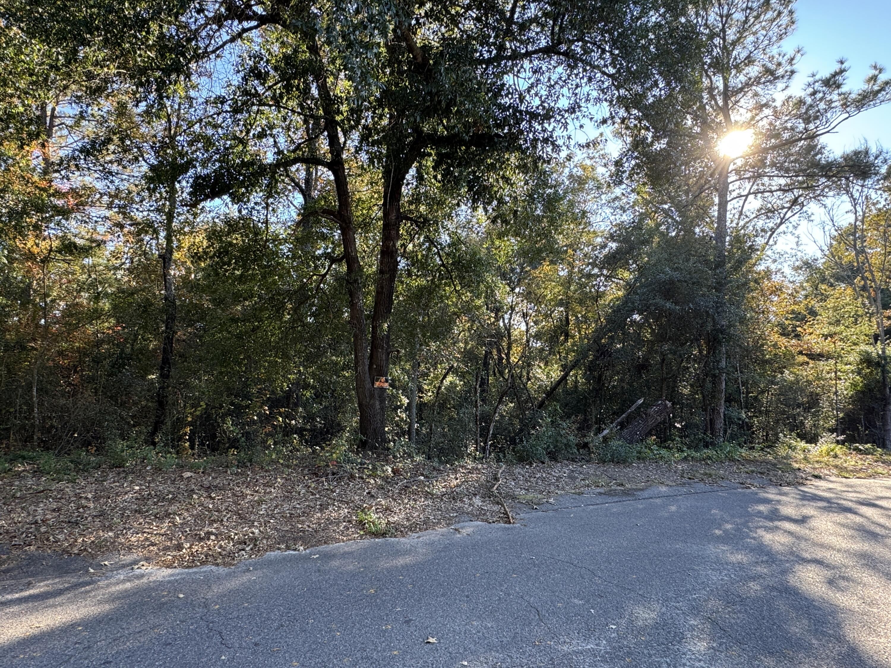 Lot #1 Charles Street Jackson, SC 29831 - Photo 11 of 12