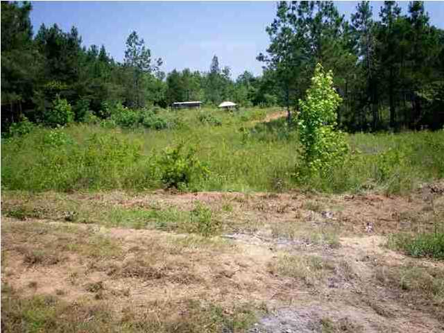 120 Pone Estates Lane Decatur, TN 37322 - Photo 17 of 20 Additional Photo