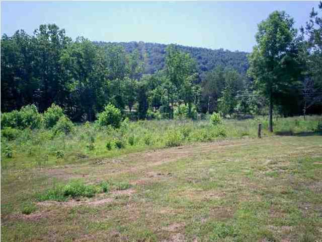 120 Pone Estates Lane Decatur, TN 37322 - Photo 18 of 20 Additional Photo