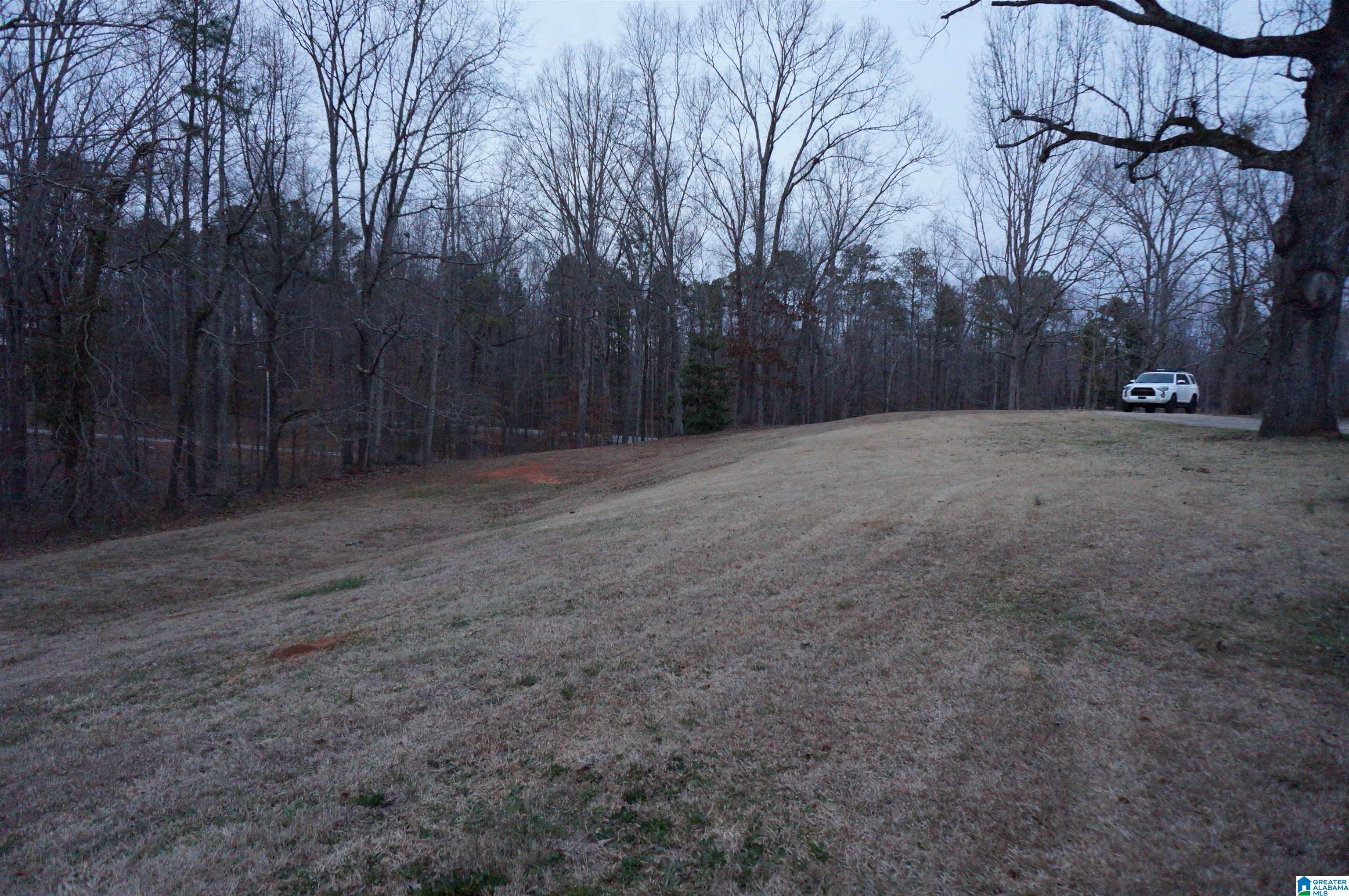 95 New County Line Road Sylacauga, AL 35151 - Photo 11 of 28