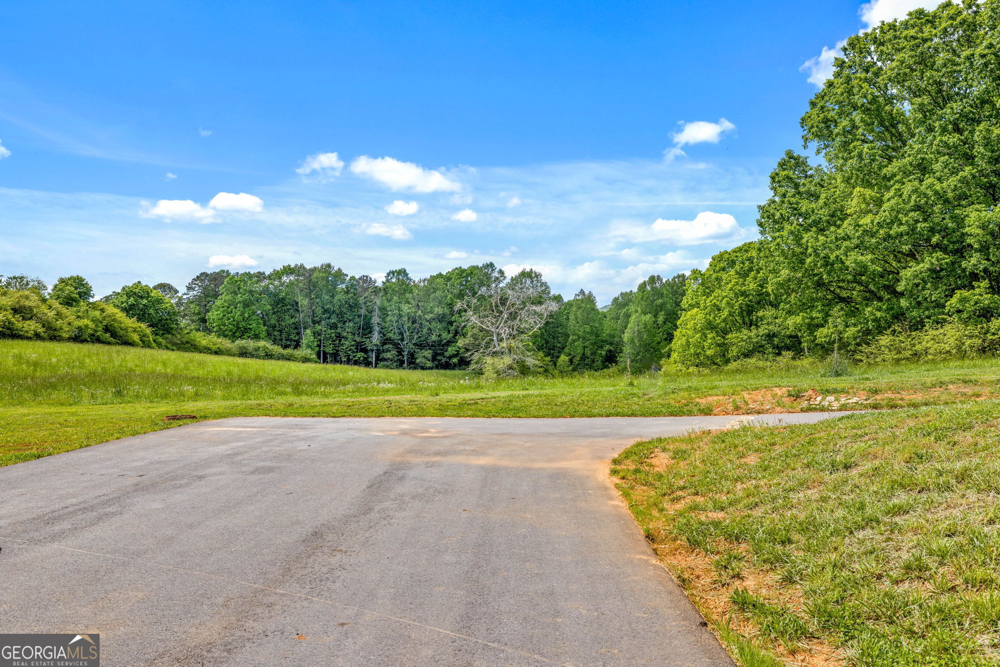 135 Mountain Ridge Drive Clarkesville, GA 30523 - Photo 38 of 85