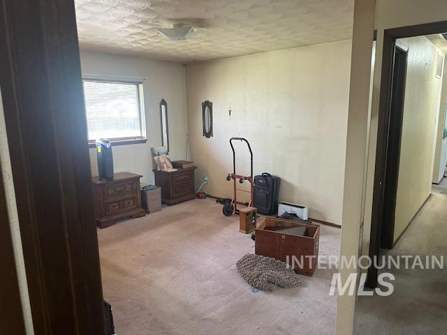 601 Riggs Avenue Emmett, ID 83617 - Photo 23 of 46 Bedroom featuring a textured ceiling