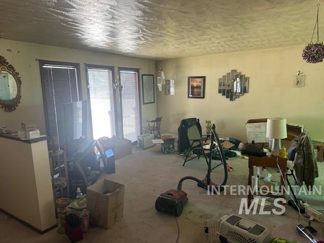 601 Riggs Avenue Emmett, ID 83617 - Photo 29 of 46 Living area with carpet floors