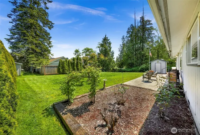a view of a garden with a bench in a garden