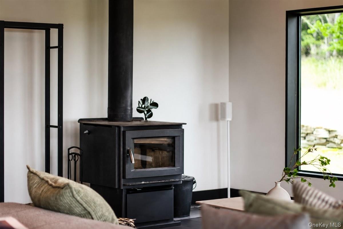 125 Mapes Road Barryville, NY 12719 - Photo 7 of 45 Wood burning stove in the Living Room