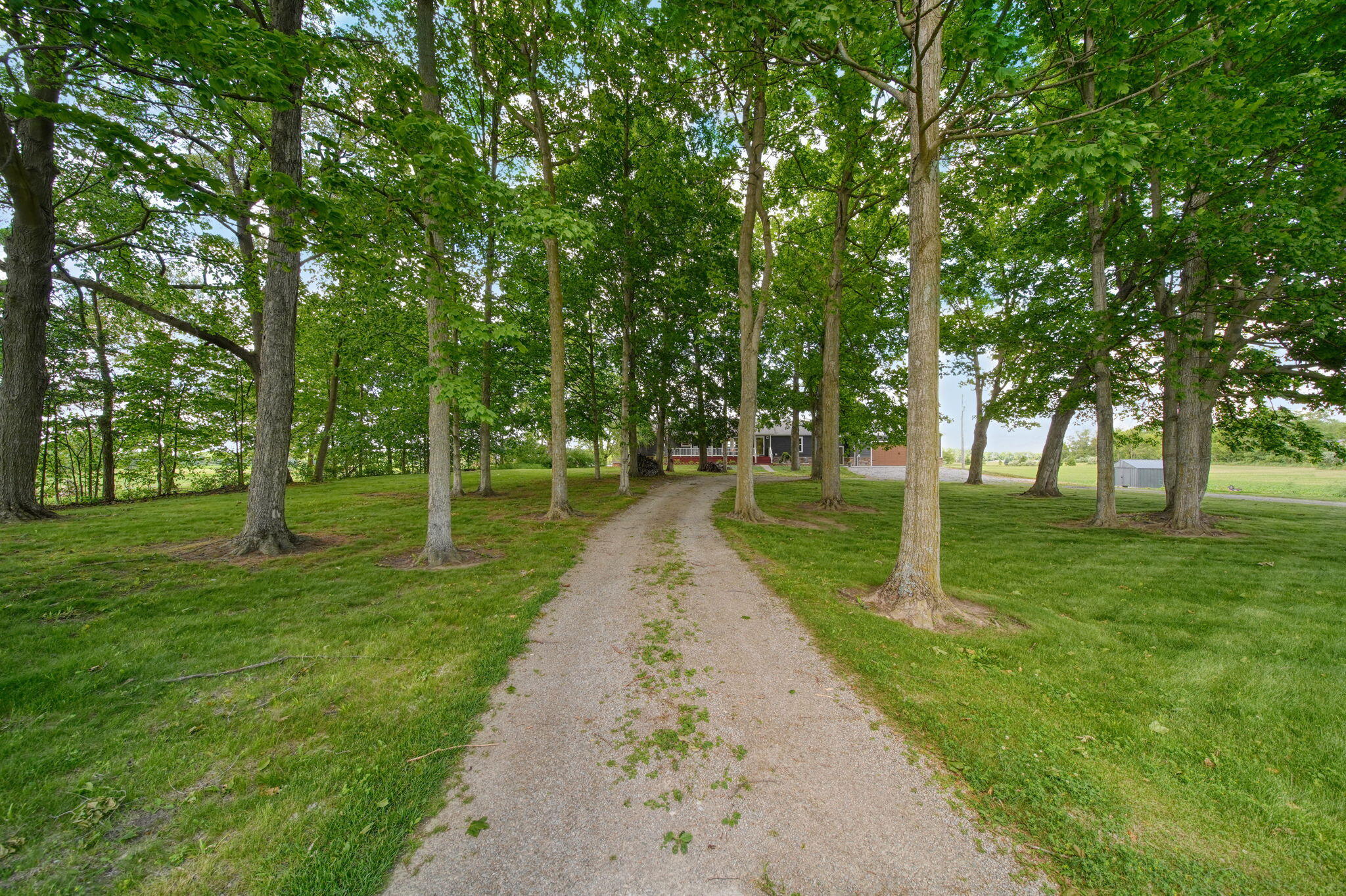 5640 Centennial Road Tecumseh, MI 49286 - Photo 60 of 63 45-web-or-mls-DSC02743_HDR