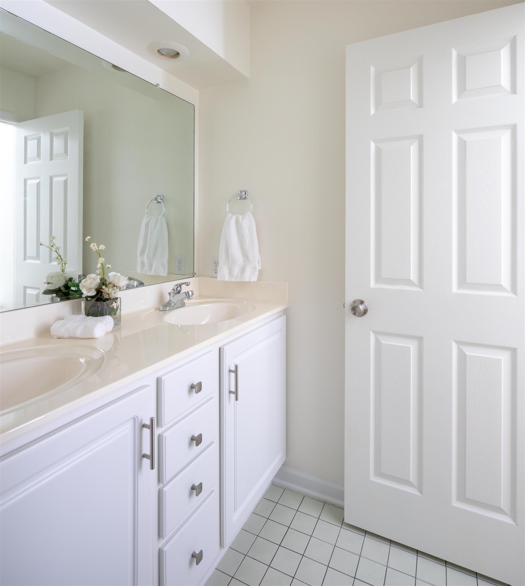 6317 Lampkins Bridge Road College Grove, TN 37046 - Photo 18 of 28 a spacious bathroom with a double vanity sink a mirror and a