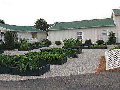 6317 Lampkins Bridge Road College Grove, TN 37046 - Photo 28 of 28 a front view of a house with garden