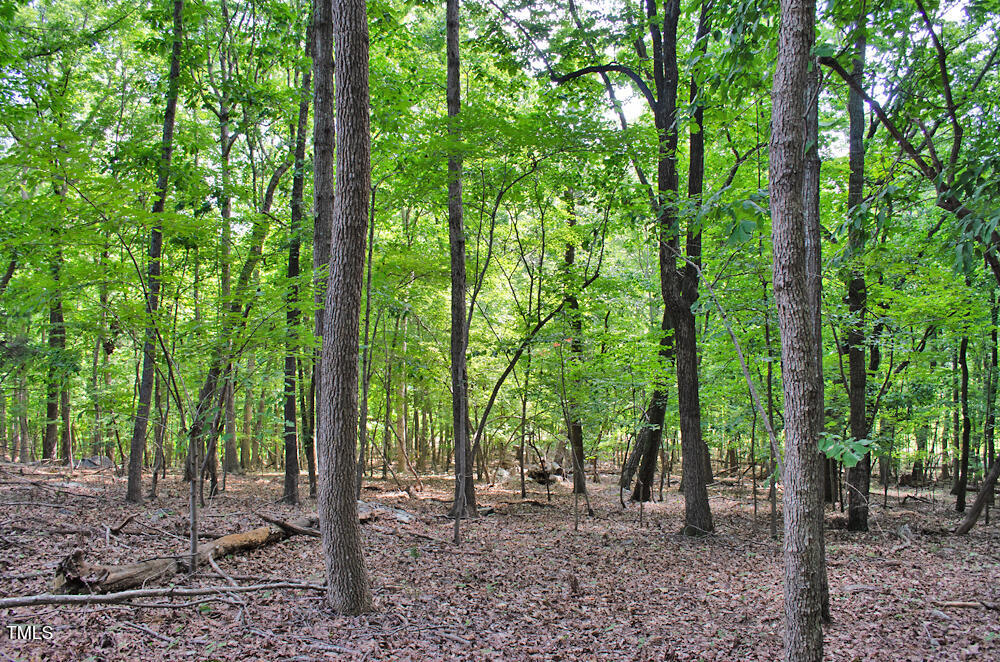 148 Lookout Rdg Way Rougemont, NC 27572 - Photo 18 of 22 DSC_0009