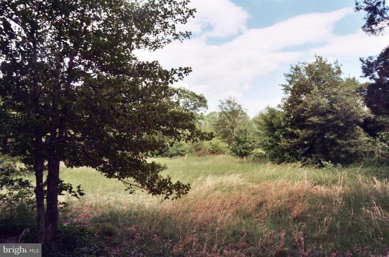 7109 Itte Lane Springfield, VA 22150 - Photo 2 of 14 View from rear.