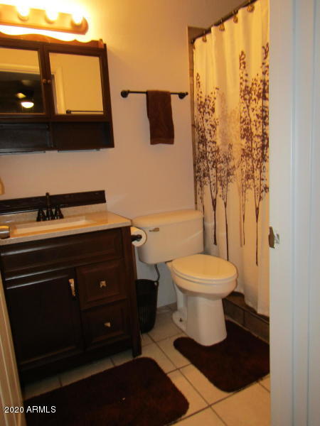 906 South Ridgeway Street Payson, AZ 85541 - Photo 19 of 28 Master bath downstairs