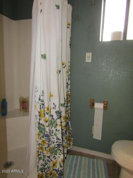 906 South Ridgeway Street Payson, AZ 85541 - Photo 9 of 28 Master bath shower