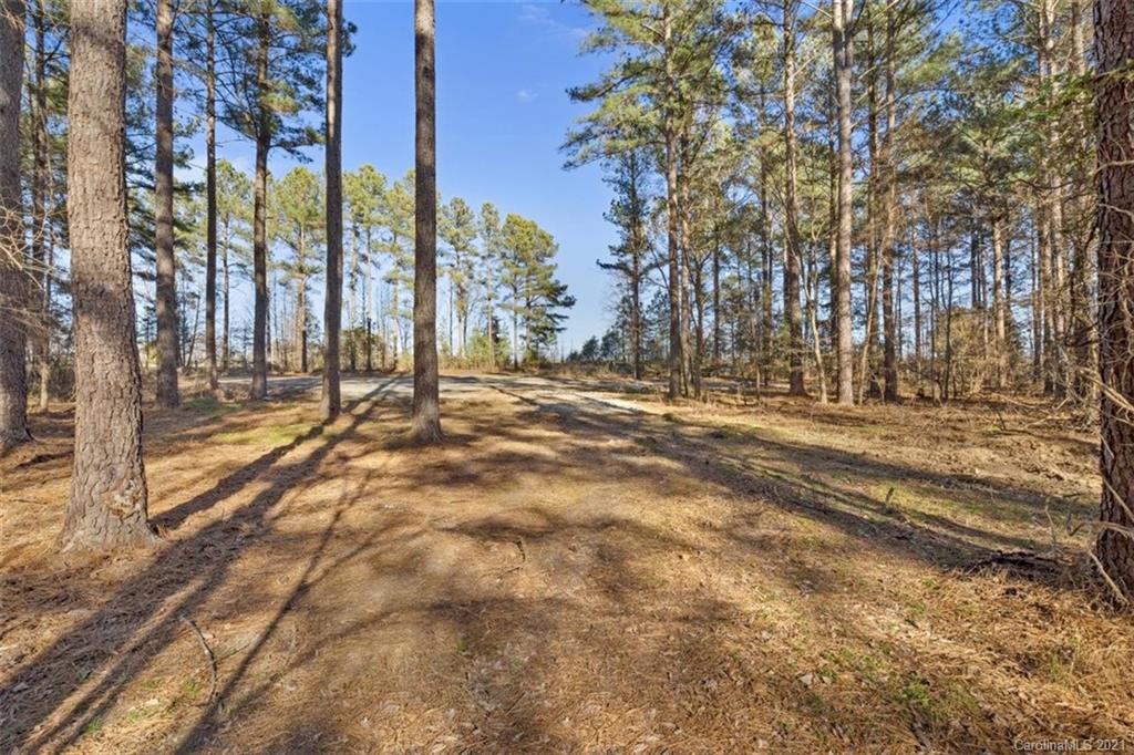 4023 Crow Road, Unit 7 Monroe, NC 28112 - Photo 4 of 21 Gallery Image 4