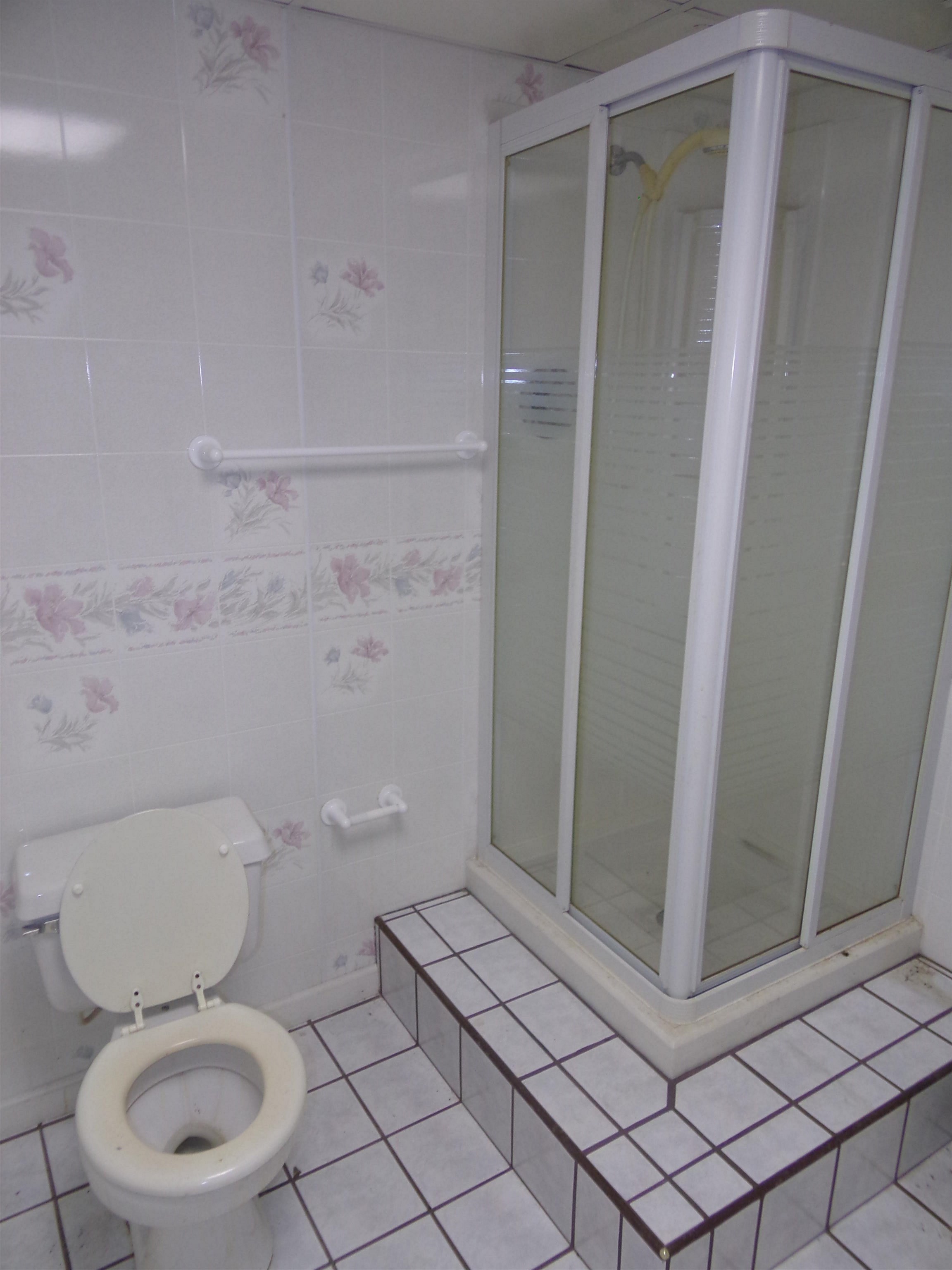 1728 Rockfish Road Waynesboro, VA 22980 - Photo 36 of 42 a bathroom with a toilet and a shower