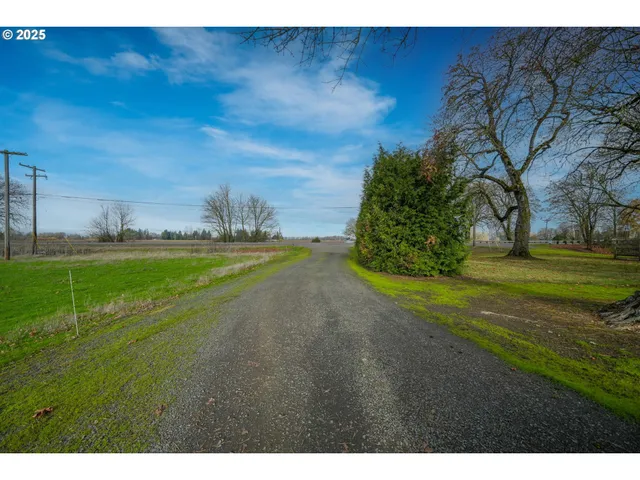 a backyard of a house with plants and large tree