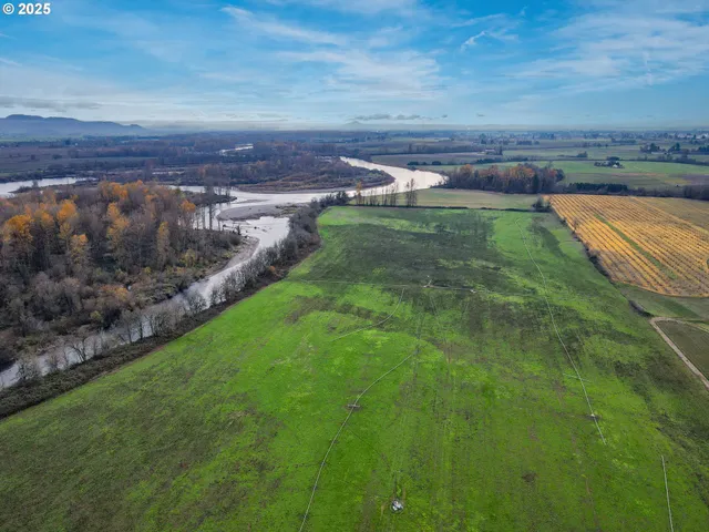 a view of a yard with a garden