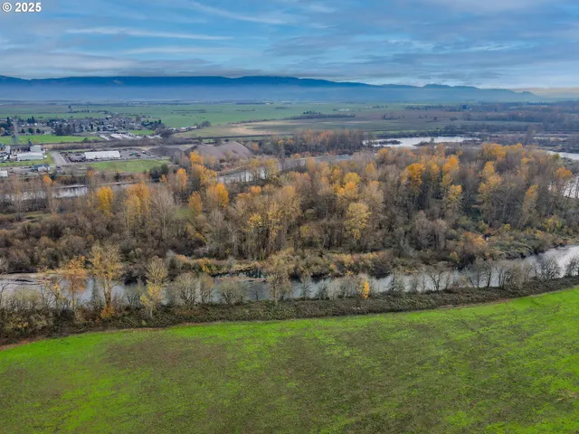 a view of an ocean and beach