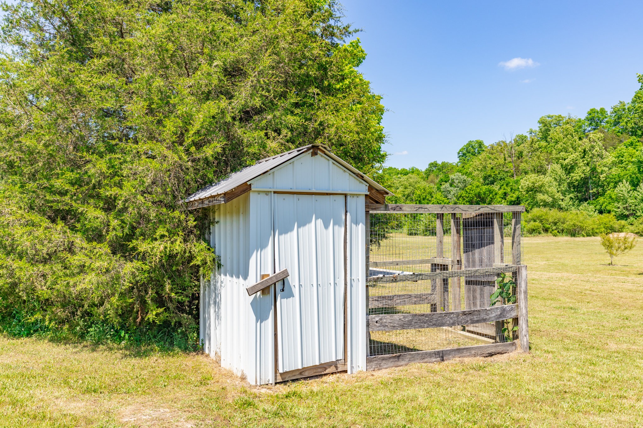 615 Little Swan Creek Road Hohenwald, TN 38462 - Photo 43 of 66