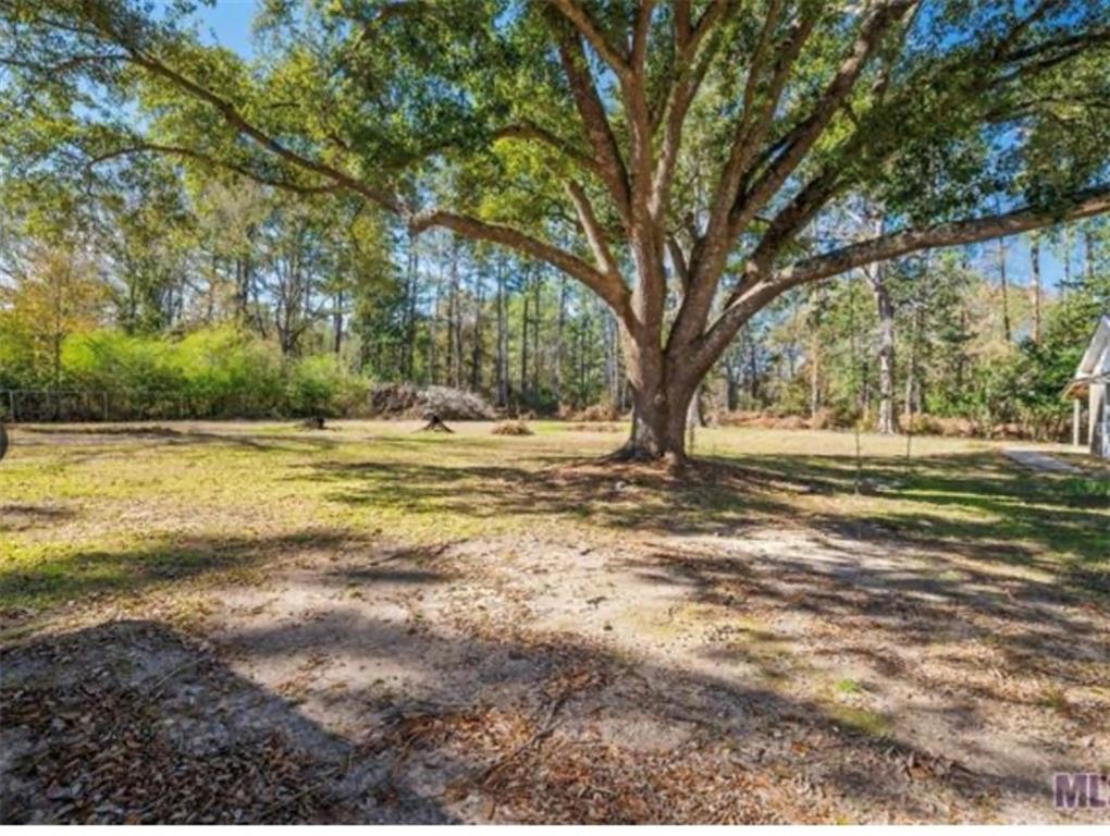 46157 Randall Road Hammond, LA 70401 - Photo 11 of 24