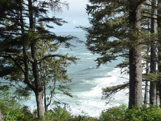 50000-block South Beach Road Neskowin, OR 97149 - Photo 1 of 1 Main