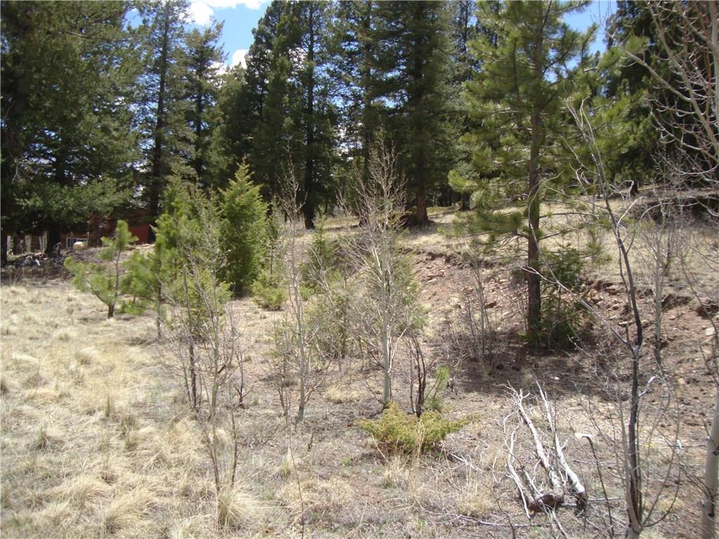 Lot 103 Redhill Road Fairplay, CO 80440 - Photo 22 of 24 Gallery Image 22