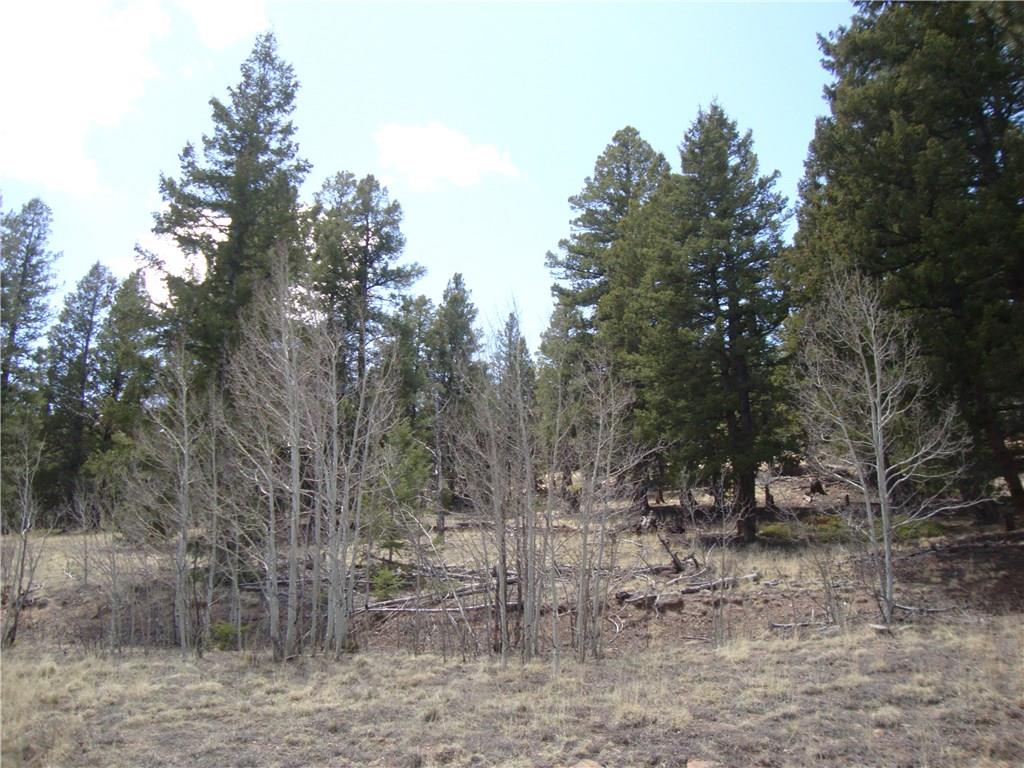 Lot 103 Redhill Road Fairplay, CO 80440 - Photo 8 of 24 Gallery Image 8
